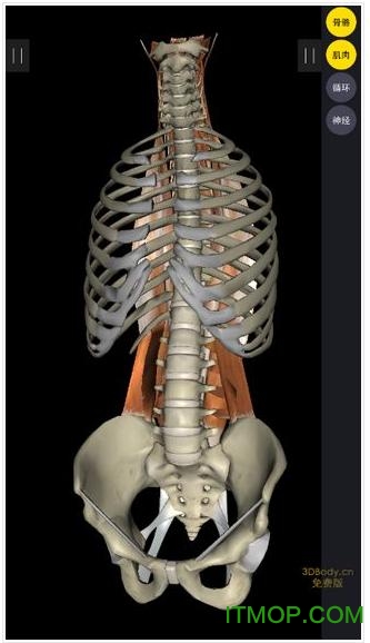 3dbody7.0破解版pc下载