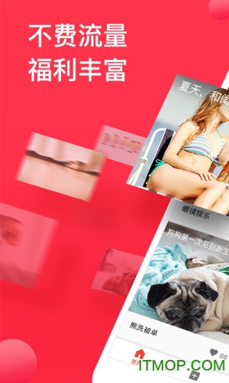 西瓜视频最新普通版