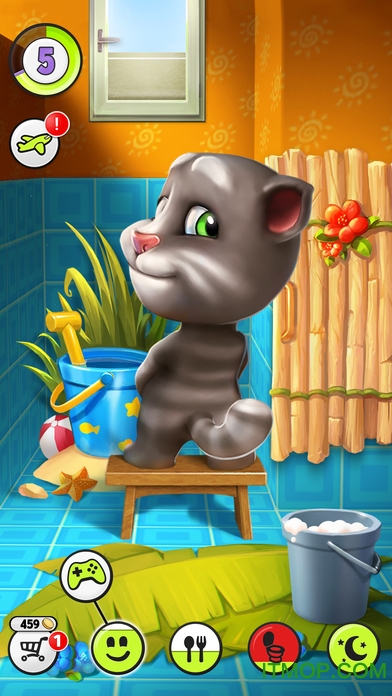 我的汤姆猫2017喂养版