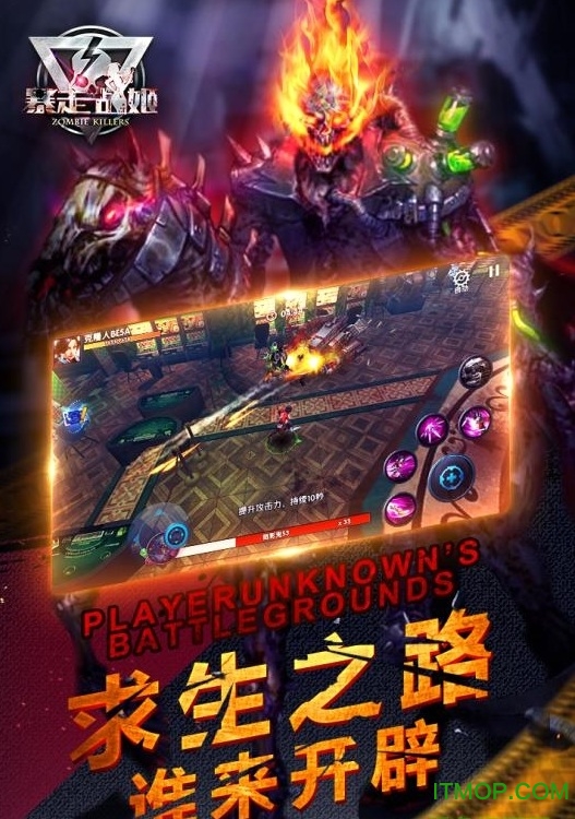 暴走战姬果盘版