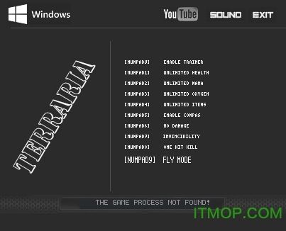 泰拉瑞亚1.3.1.1修改器