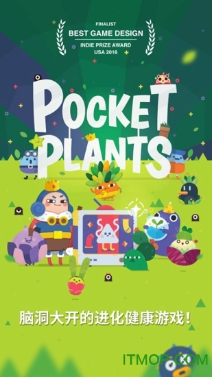 袖珍植物Pocket Plants