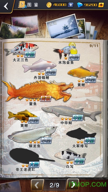 世界钓鱼之旅手游