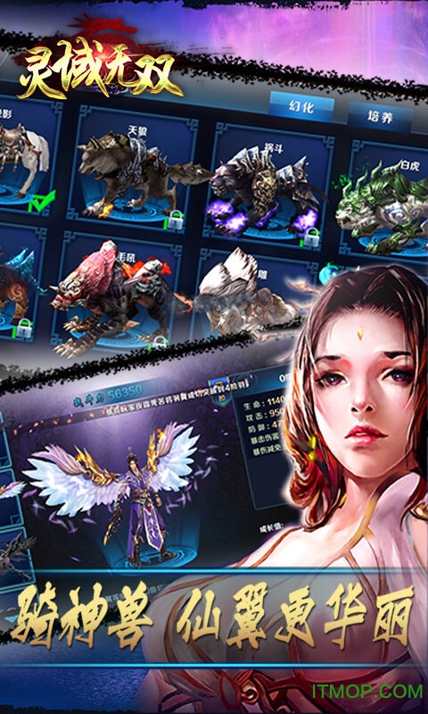 灵域无双游戏