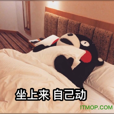 熊本熊搞笑表情包