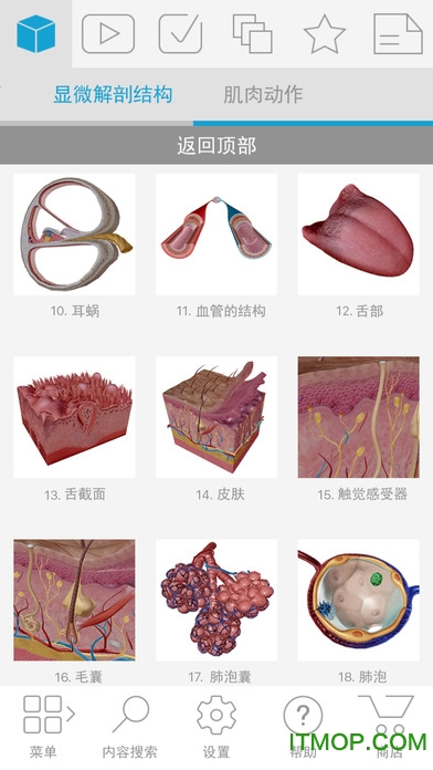 2023人体解剖学图谱app官方版 2023人体解剖学图谱app官方版
