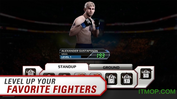 终极格斗冠军赛手机版