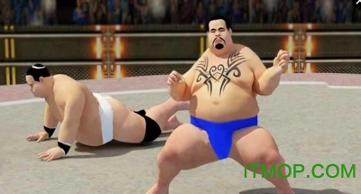 相扑格斗破解版下载