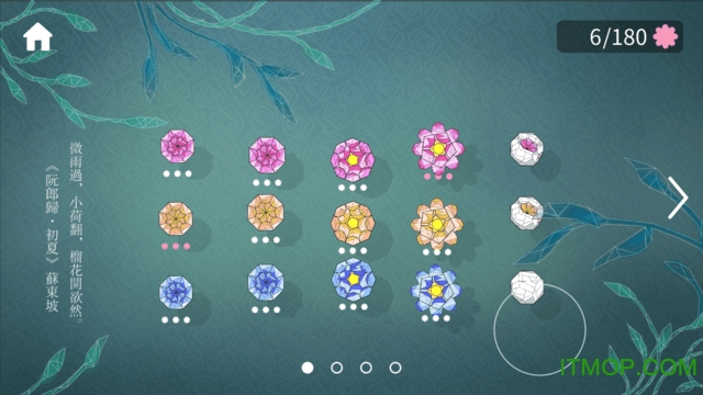 莲漪(Ripple Blossom)