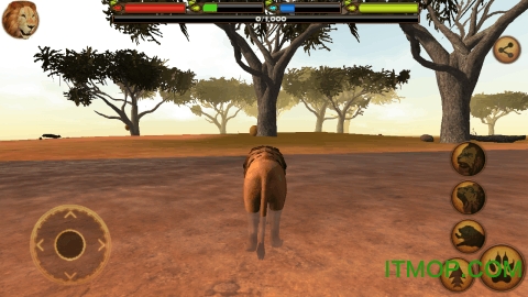 终极狮王模拟器破解版