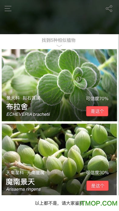 花伴侣app官方下载