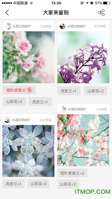 花伴侣app官方下载