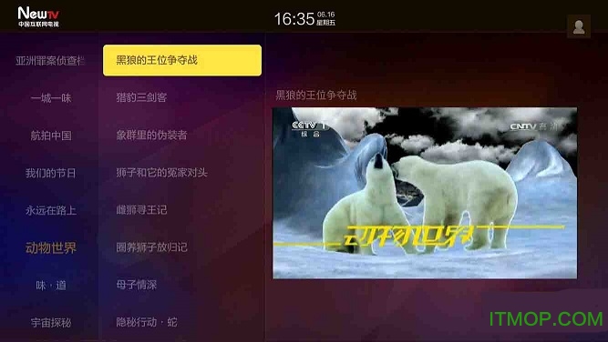 今日头屏软件下载