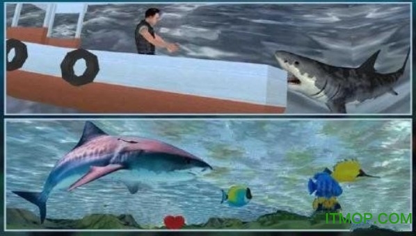 3d饥饿大白鲨复仇 3d饥饿大白鲨复仇
