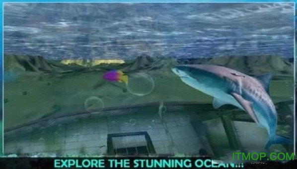 3d饥饿大白鲨复仇 3d饥饿大白鲨复仇