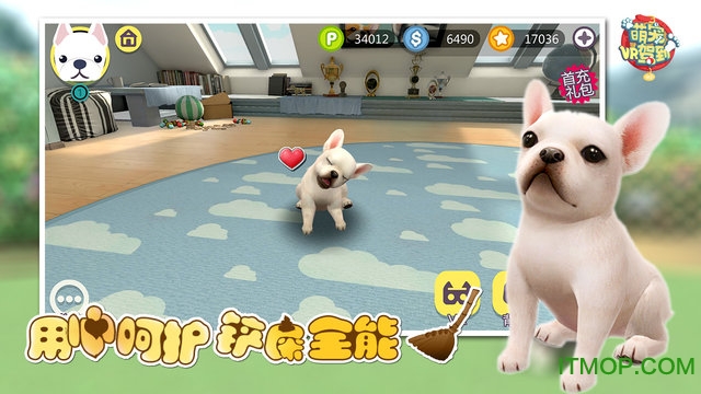 萌宠驾到VR破解版