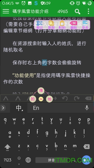 码字风云苹果软件