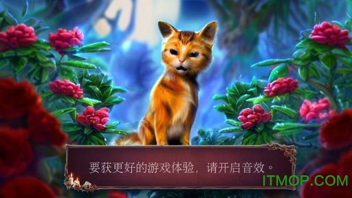 被抛弃的新娘游戏