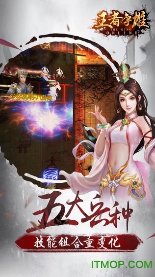 王者争雄网易版