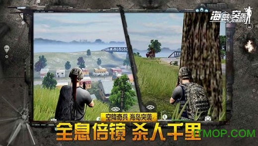 海岛突袭破解版