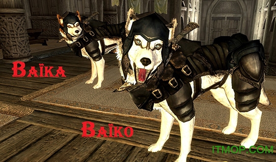 上古卷轴5坐骑mod