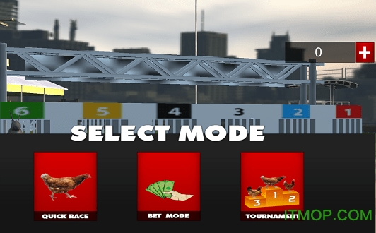 疯狂母鸡赛 疯狂母鸡赛