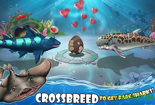 鲨鱼世界游戏 鲨鱼世界中文版