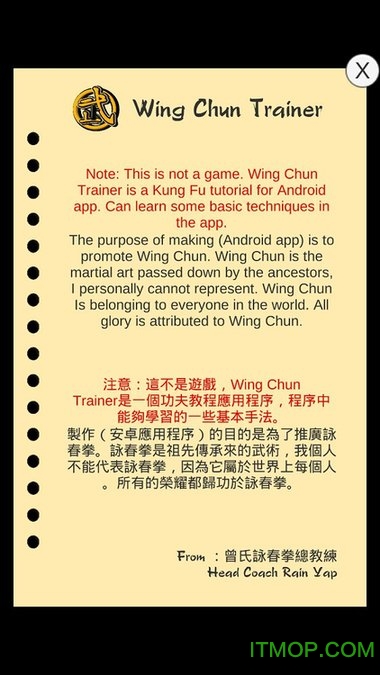 咏春拳师中文版