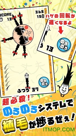 不能再继续秃下去了游戏 不能再继续秃下去了汉化版