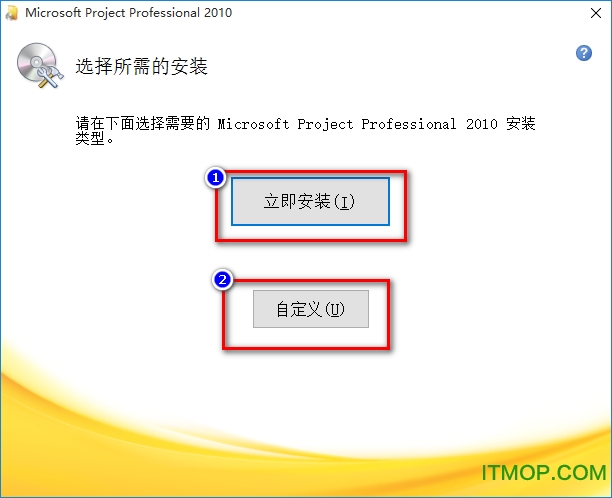 microsoft project professional 2010