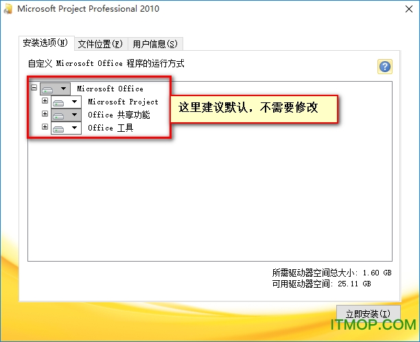 microsoft project professional 2010