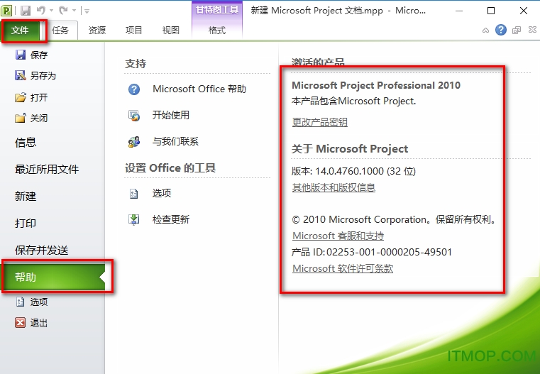 microsoft project professional 2010