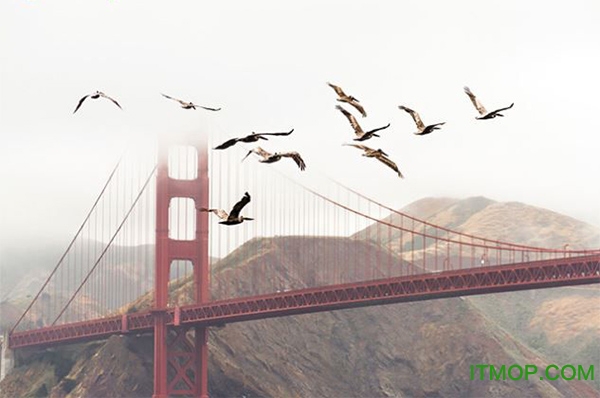 acdsee ultimate 2019破解版