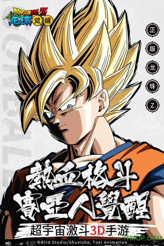 龙珠觉醒满v版
