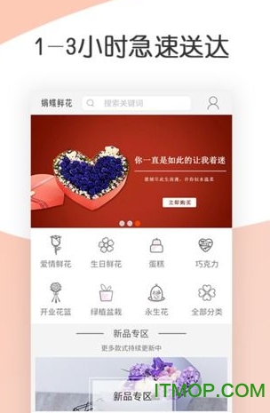 娟蝶鲜花 娟蝶鲜花app