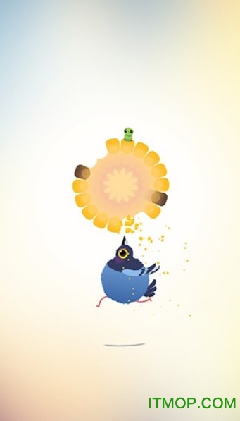 疯狂的鸽子手机版