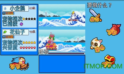 宠物王国4白金正版