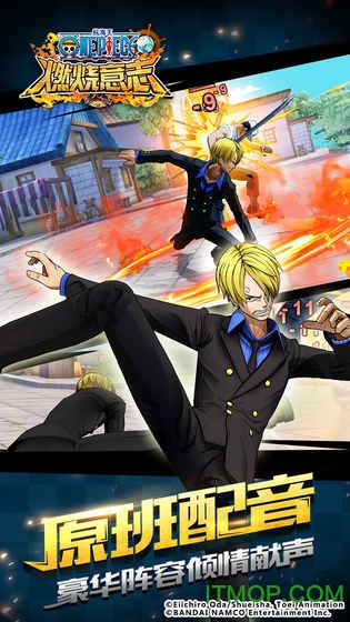 航海王燃烧意志ios免费版