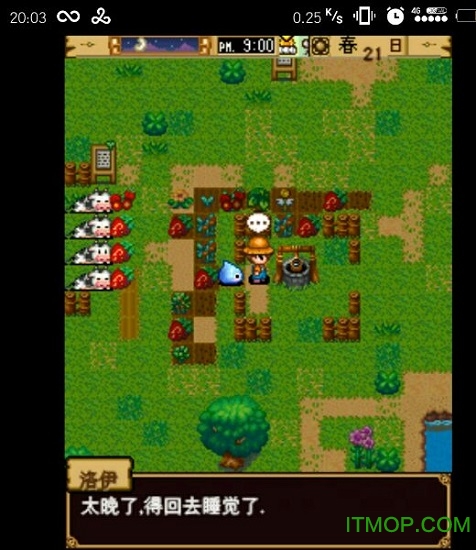 开心农场韩版安卓破解