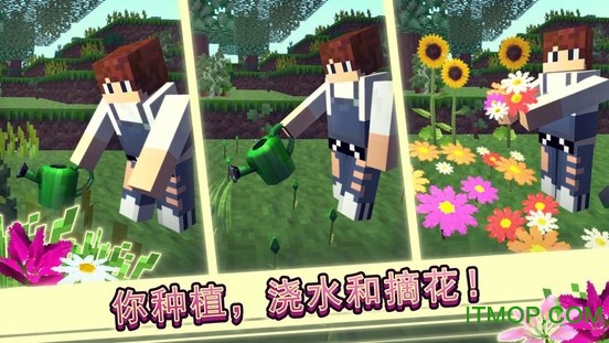 花卉农场世界游戏