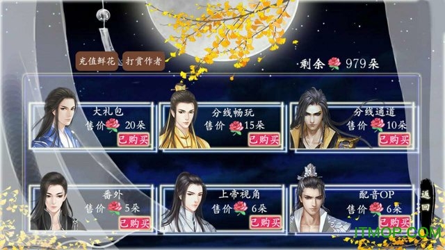 愿与卿诀无限鲜花版