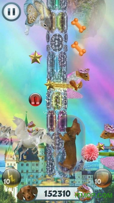 野蛮腊肠犬手游