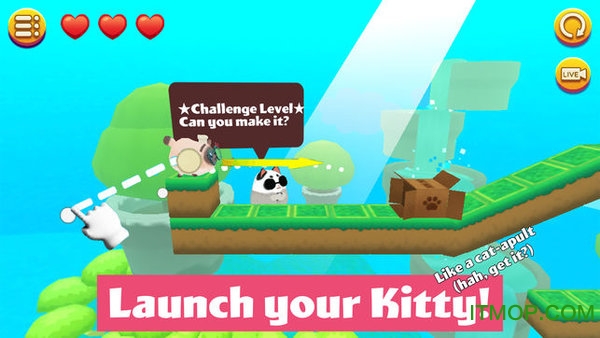 盒子里的猫2游戏