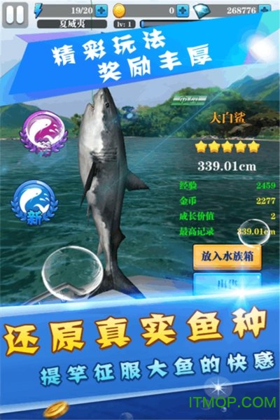 天天爱钓鱼4399版