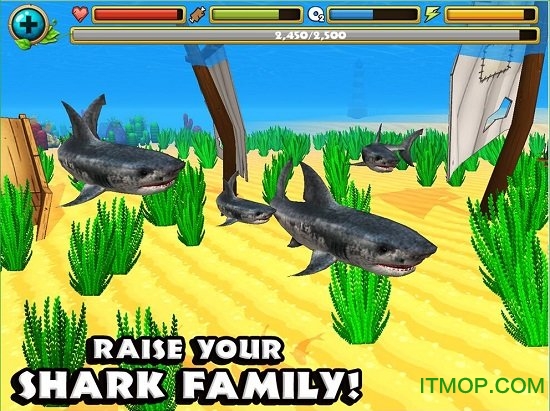 终极鲨鱼模拟器无限血/生命/经验/升级版