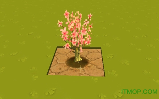 迷你世界国际服沙漠版本