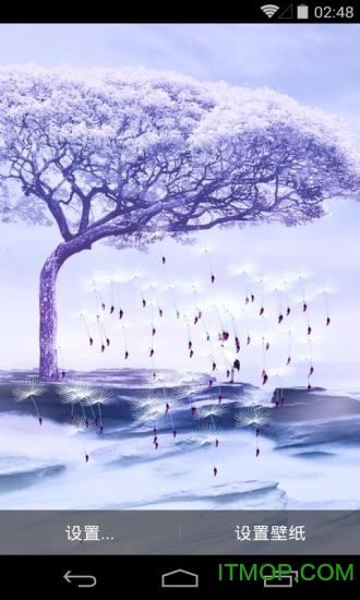 云里雾里梦象动态壁纸