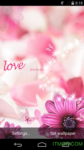 蝶恋花梦象动态壁纸