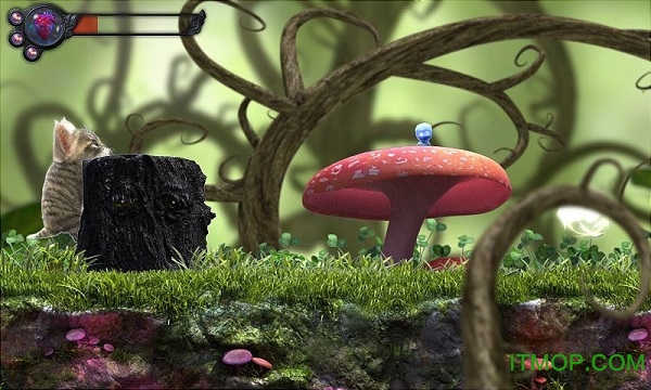 猫咪追寻神秘探险