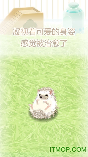 治愈的猬育成游戏官方版
